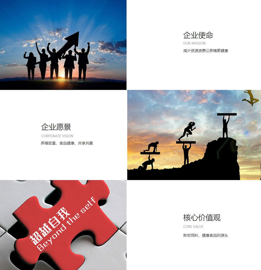 企业文化_上海通乐线缆有限公司